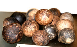 palm seeds